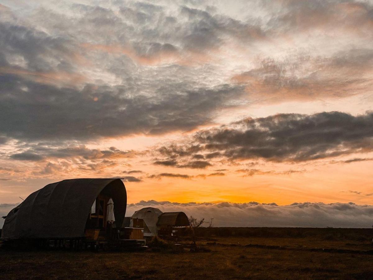 Amanya 1 -Bed King Lion Tent Amboseli Luaran gambar